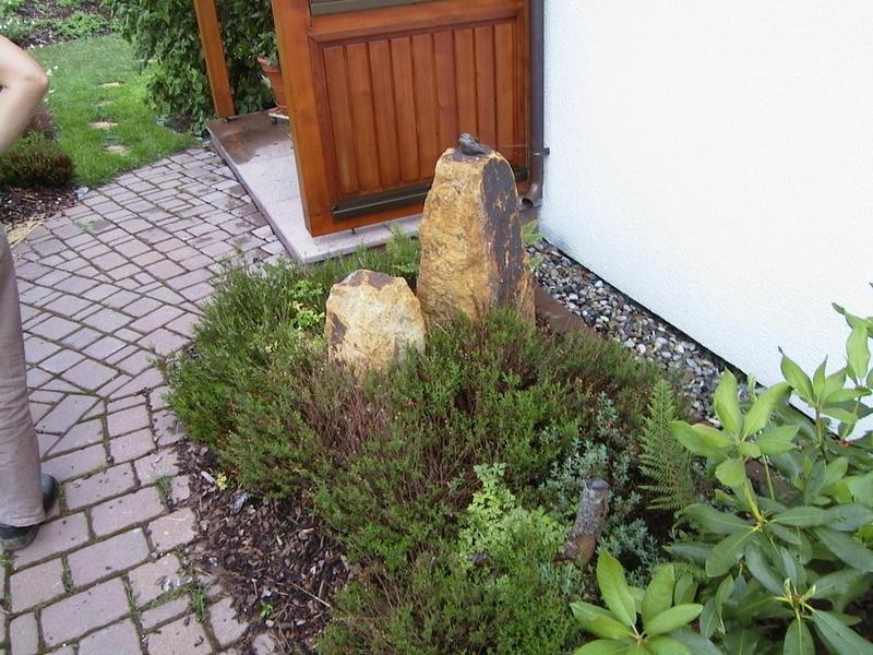 Angulatensandstein goldbraungrau