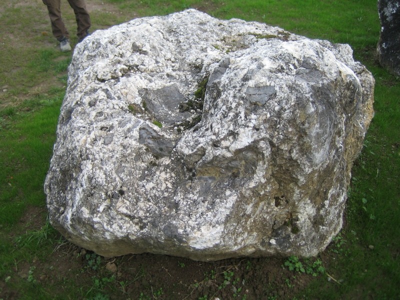 Muschelkalk grau-bräunlich 